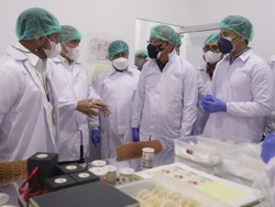 Mentan Tinjau Pengolahan Sarang Burung Walet di Pontianak, Ini Arahannya