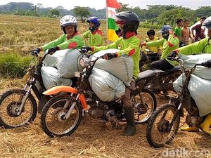 Meriahnya Lomba Balap Motor Gabah Usai Panen Raya Padi di Batang