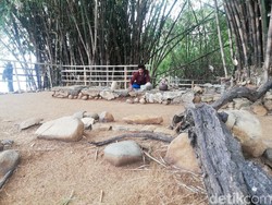 Waduk Jatigede Surut, Situs Tua Munjul Kembali Muncul