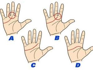 Tes Kepribadian: Garis Tangan Seperti Apa yang Kamu Miliki?