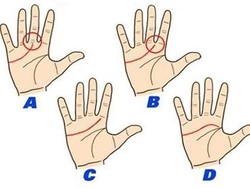 Tes Kepribadian: Garis Tangan Seperti Apa yang Kamu Miliki?