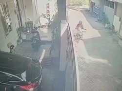 Ada-ada Saja! Pria Parlente Ini Curi Guling yang Sedang Dijemur di Pagar