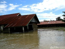 Banjir di Wajo Sulsel Belum Surut, 48 Desa Masih Terendam