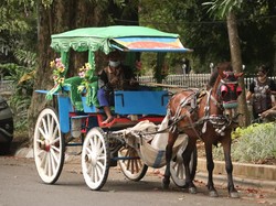 Viral Wisatawan Bayar Rp 600 Ribu Naik Delman di Bandung, Ia Langsung Kapok