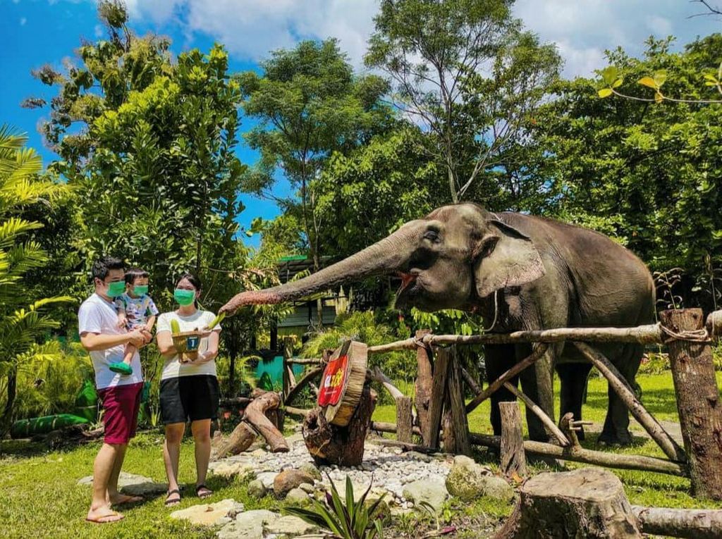 GL Zoo Mulai Buka Hari Ini, Wisatawan Wajib Pakai PeduliLindungi