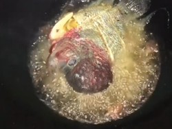 Viral! Pria Ini Goreng Ikan Louhan, Rasanya Mirip Ikan Nila