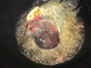 Viral! Pria Ini Goreng Ikan Louhan, Rasanya Mirip Ikan Nila Viral! Pria Ini Goreng Ikan Louhan, Rasanya Mirip Ikan Nila
