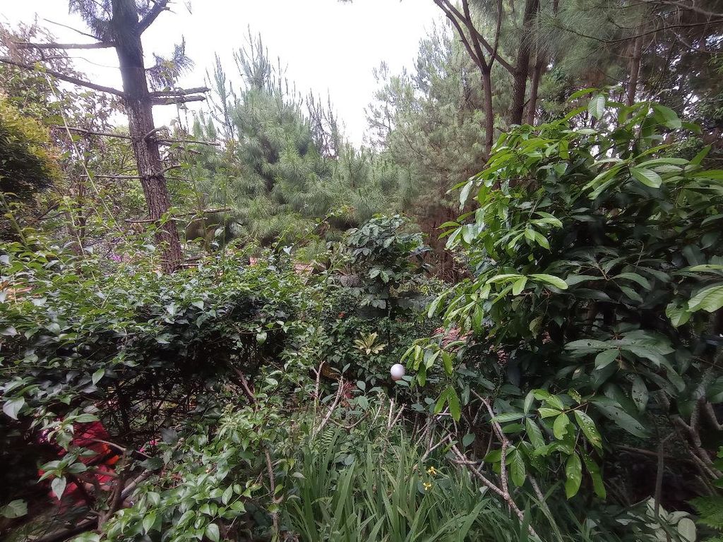 Kenapa Sih Sengketa Lahan Terjadi? Ini Sebabnya Kenapa Sih Sengketa Lahan Terjadi? Ini Sebabnya