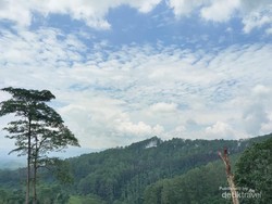 Keindahan Panorama Ampangan nan Tersembunyi di Kota Payakumbuh