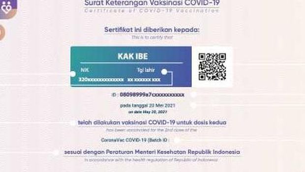Why Vaccine Certificates Are Not Available at PeduliLindung, this is the reason