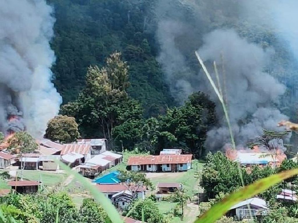 Nasib Tragis Nakes di Papua Gegara KKB: Dilecehkan hingga Dianiaya