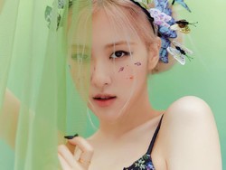 Viral Momen Rose BLACKPINK Nangis Ketemu Fans BLACKPINK, Ini Alasannya