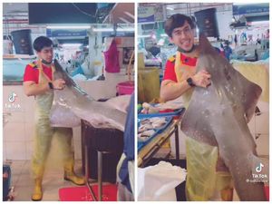 Jangan Salfok! Ini Tukang Ikan Ganteng yang Lagi Viral di TikTok Jangan Salfok! Ini Tukang Ikan Ganteng yang Lagi Viral di TikTok