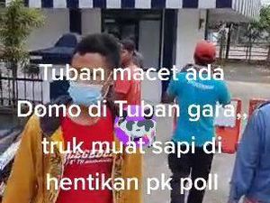 Ini Penjelasan Soal Viral Sopir Truk Sapi Ngeluruk Pos Polisi di Tuban Ini Penjelasan Soal Viral Sopir Truk Sapi Ngeluruk Pos Polisi di Tuban