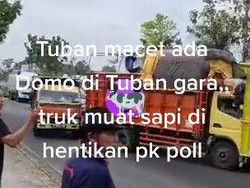 Viral Sopir Truk Sapi Ngeluruk Pos Polisi di Tuban Gegara Ditilang