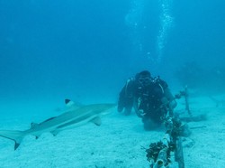 Harta Karun Melimpah, 5 Provinsi Ini Malah Tak Banyak Duitnya