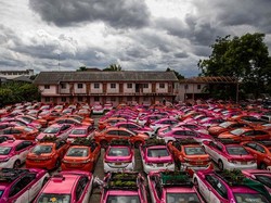 Wisata Nihil, Atap Taksi Mangkrak Berubah Jadi Kebun Sayuran