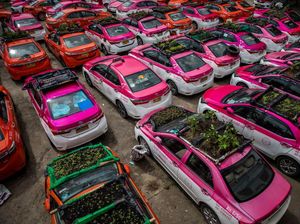 Begini Jadinya Bila Taksi di Thailand Disulap Jadi Kebun Sayuran