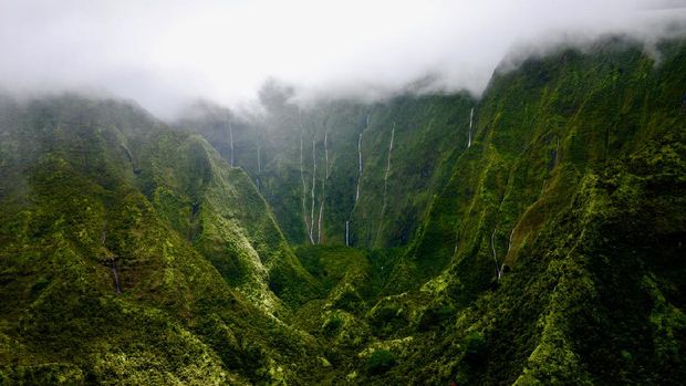 Gunung Waialeale di Kauai, Hawaii The Heart of Kauai: Mount Waialeale and the Weeping Wall, Hawaii. The wettest place of Earth due to orographic precipitation.