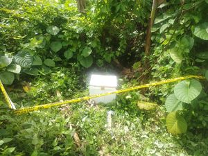 Keji! Bayi Dibuang dalam Cool Box di Sulut, Ditemukan Tewas Membusuk