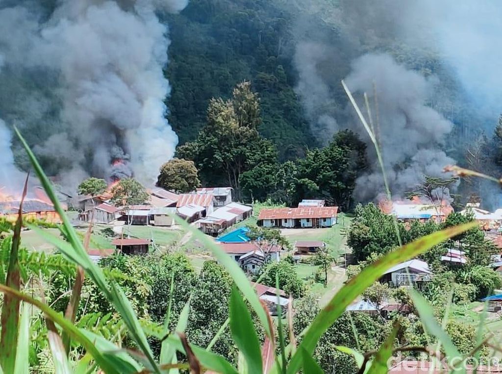 Nakes Gugur Diserang KKB di Papua, Ini Kata Kemenkes Nakes Gugur Diserang KKB di Papua, Ini Kata Kemenkes