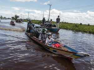 Sungai Kahayan Meluap, Jalan Trans Kalimantan Terendam Banjir