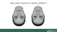Jangan Ngaku Punya Otak Cerdas Kalau Enggak Bisa Jawab Teka-teki Ini