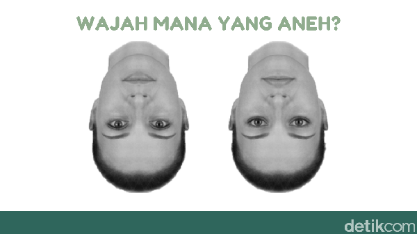 Jangan Ngaku Punya Otak Cerdas Kalau Enggak Bisa Jawab Teka-teki Ini