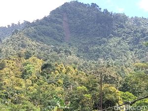 Tebing Gunung Karang Pandeglang Longsor Tebing Gunung Karang Pandeglang Longsor