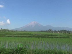 Sehari Ada 63 Letusan Semeru, Warga Diimbau Tak Beraktivitas Sejauh 1 KM