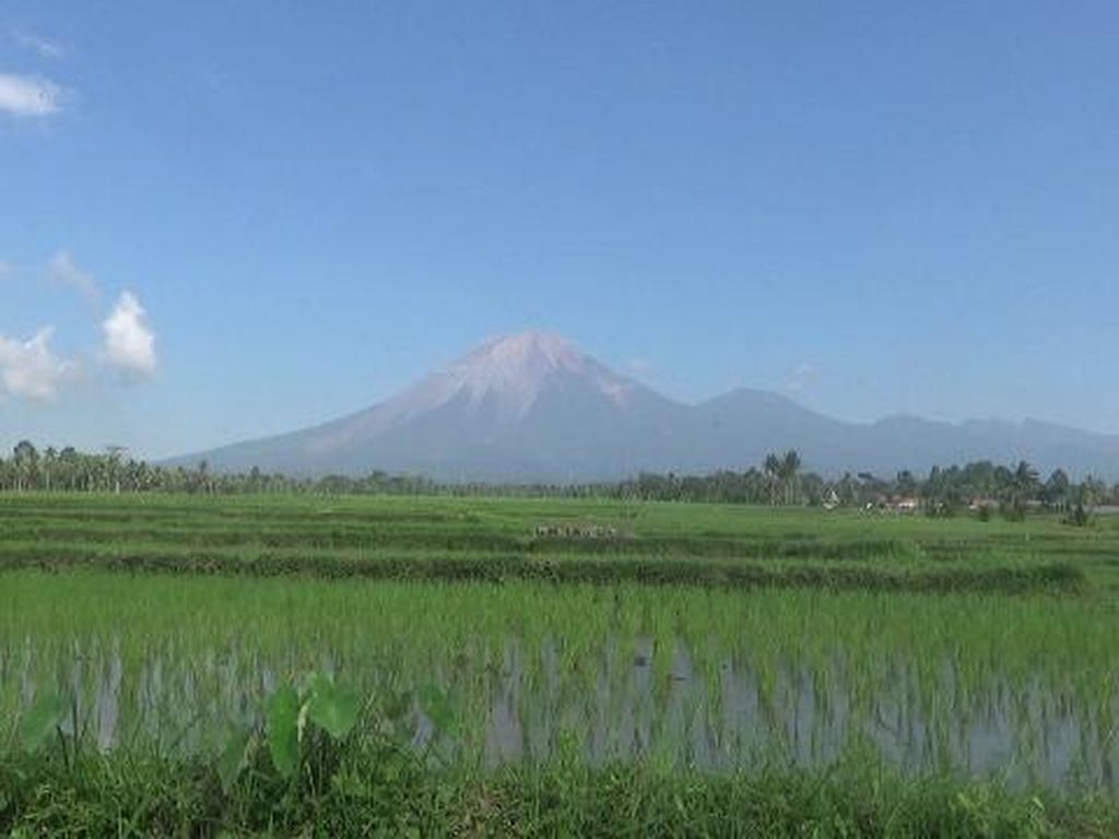 Berita dan Informasi Gunung semeru Terkini dan Terbaru Hari ini detikcom