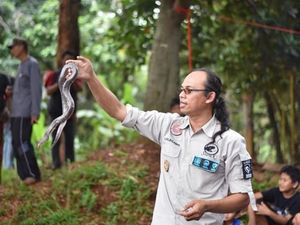 Detik-detik Tewasnya Ketua Sioux Ular Indonesia Dipatuk King Kobra Detik-detik Tewasnya Ketua Sioux Ular Indonesia Dipatuk King Kobra