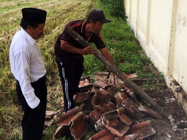 Ngeri, Sekolah di Banyuwangi Ini Jadi Sarang King Kobra