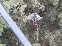 Pesawat Rimbun Air Jatuh di Papua, Ini 5 Fakta Terbarunya