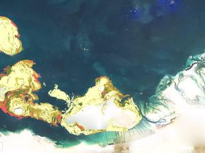 Spesial! Akhirnya, Rilis Juga Peta Terumbu Karang Terlengkap di Dunia