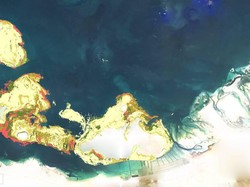 Spesial! Akhirnya, Rilis Juga Peta Terumbu Karang Terlengkap di Dunia