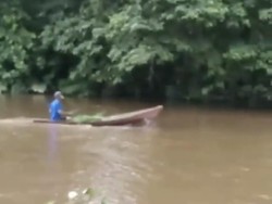 Viral Video Warga Aniaya Rusa di Sumbar, BKSDA Turun Tangan