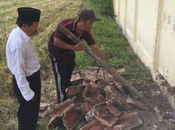 Cerita Penjaga Sekolah Lihat King Kobra Berdiri: Saya Lari, Ularnya Juga