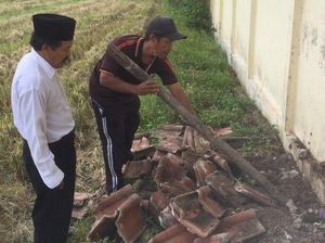 Cerita Penjaga Sekolah Lihat King Kobra Berdiri: Saya Lari, Ularnya Juga Cerita Penjaga Sekolah Lihat King Kobra Berdiri: Saya Lari, Ularnya Juga