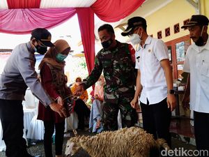 Unik, Ada Vaksinasi Berhadiah Kambing di Purbalingga Lho
