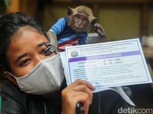 Vaksinasi Rabies di Jakarta Kembali Digalakkan