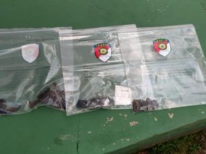 Teror Bom Molotov ke Rumah Pejabat Kemenkumham Riau Bukan Pertama Kali