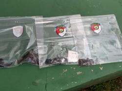 Rumah Dinas Pejabat Kemenkumham Riau Dilempar Bom Molotov