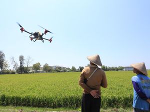 Fokus Digitalisasi, Sektor Pertanian Indonesia Diapresiasi Bank Dunia