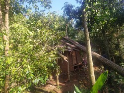 12 Rumah Warga Cianjur Rusak Diterjang Puting Beliung-Pergerakan Tanah