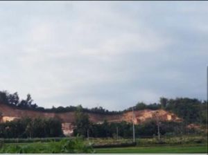 Selebgram dan Glorifikasi Desa yang Menyesatkan