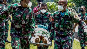 Detik-detik Evakuasi Korban Kebiadaban KKB di Pegunungan Bintang