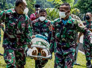 Detik-detik Evakuasi Korban Kebiadaban KKB di Pegunungan Bintang