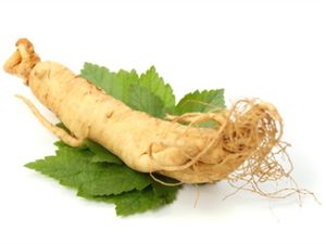 8 Manfaat Ginseng: Rahasia Herbal untuk Kesehatan Tubuh