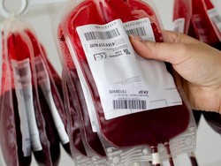 Stok Darah dan Jadwal Donor PMI DIY Rabu 16 Maret 2022